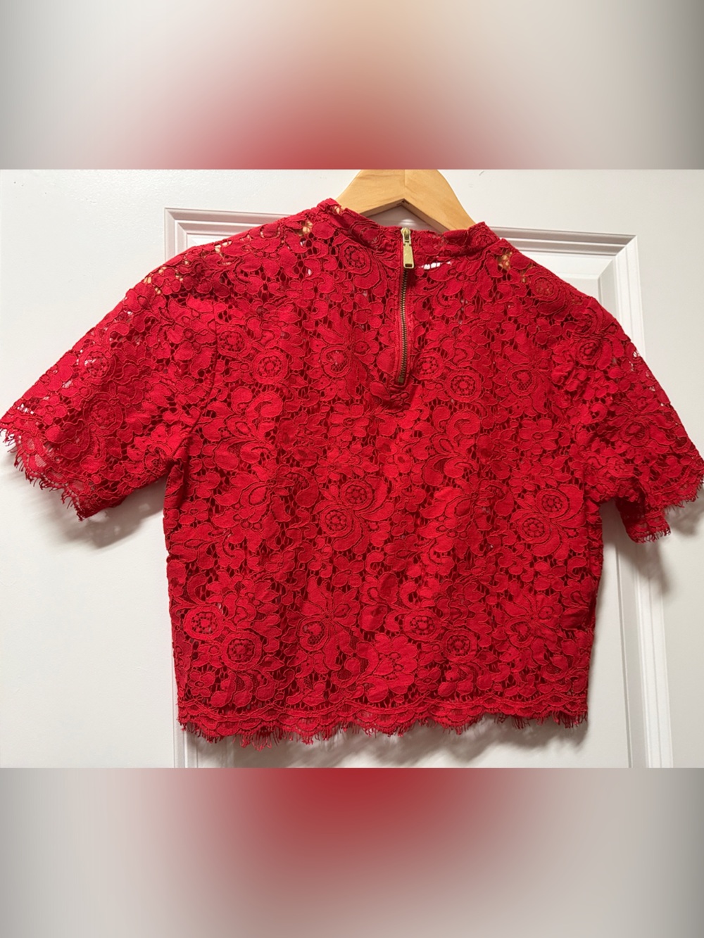 Express Red Floral Lace Short Sleeve Top